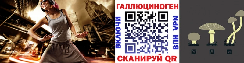 Псилоцибиновые грибы GOLDEN TEACHER  Снежногорск 